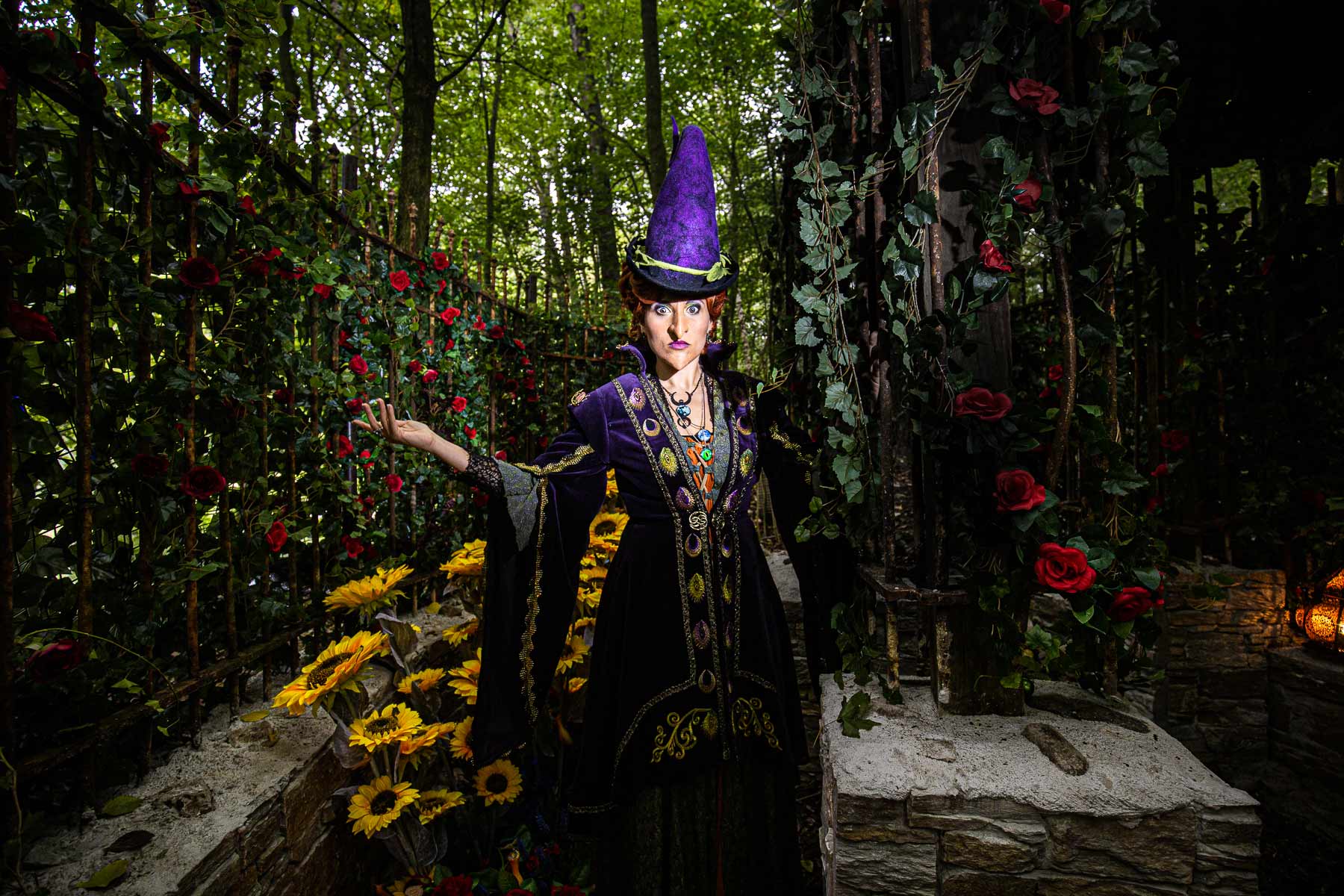 Discover Wicked Woods: a dark forest of witches.