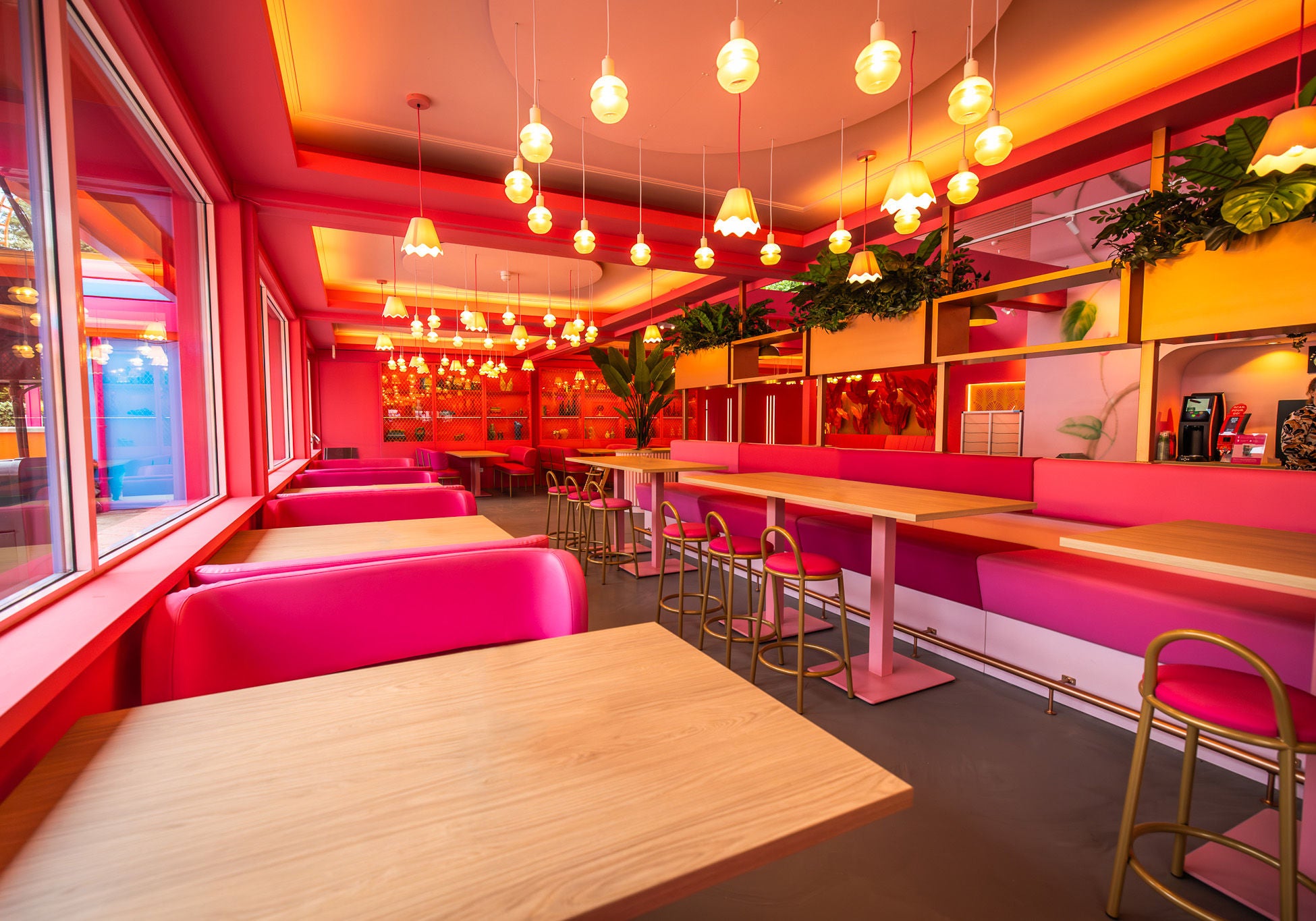 Overzicht van het restaurant - Yummy Tummy