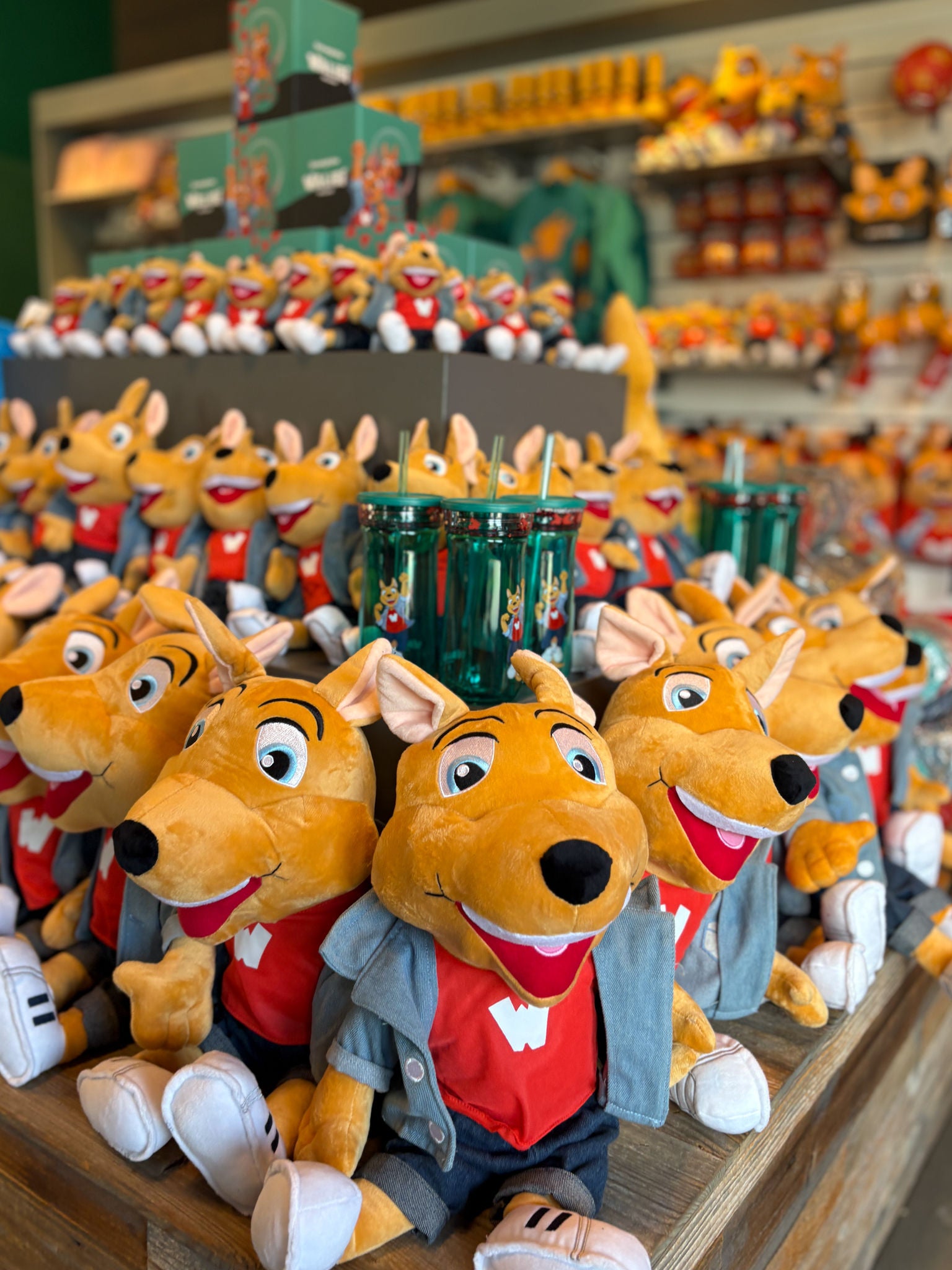 Sunset Shop van Walibi Holland 