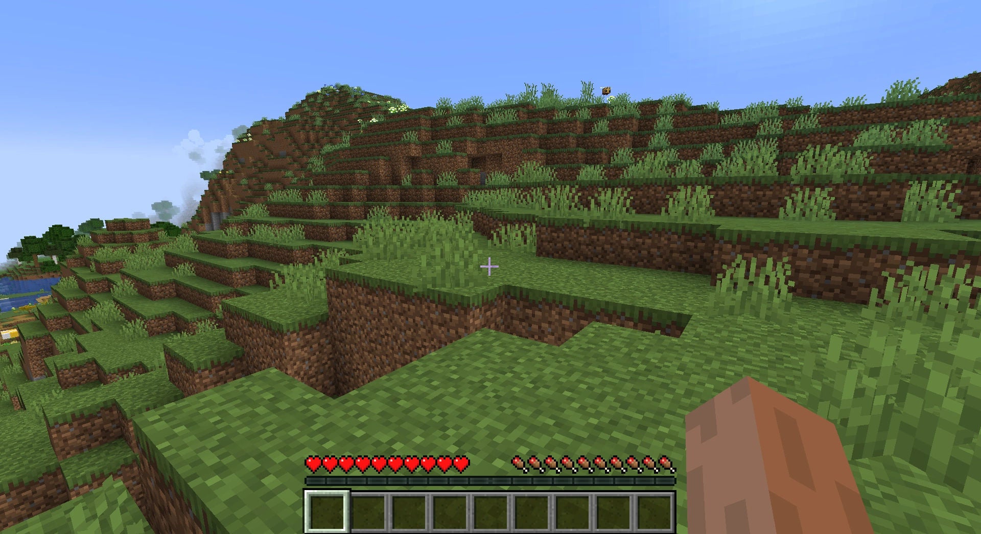 Minecraft visual