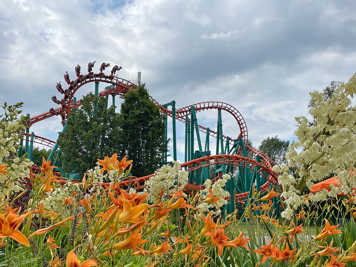 condor bij Walibi Holland