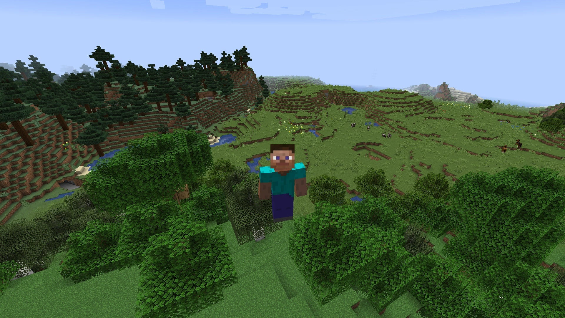 Minecraft visual