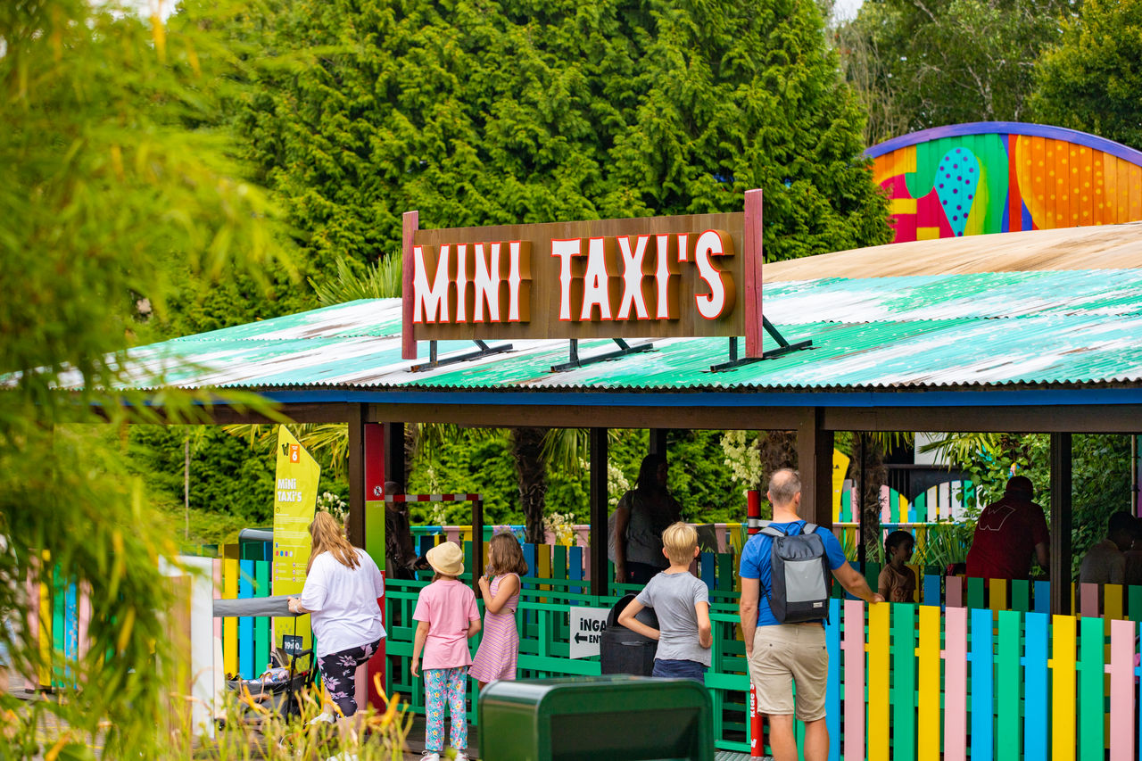Mini Taxi’s: bumper cars for kids - Walibi Holland